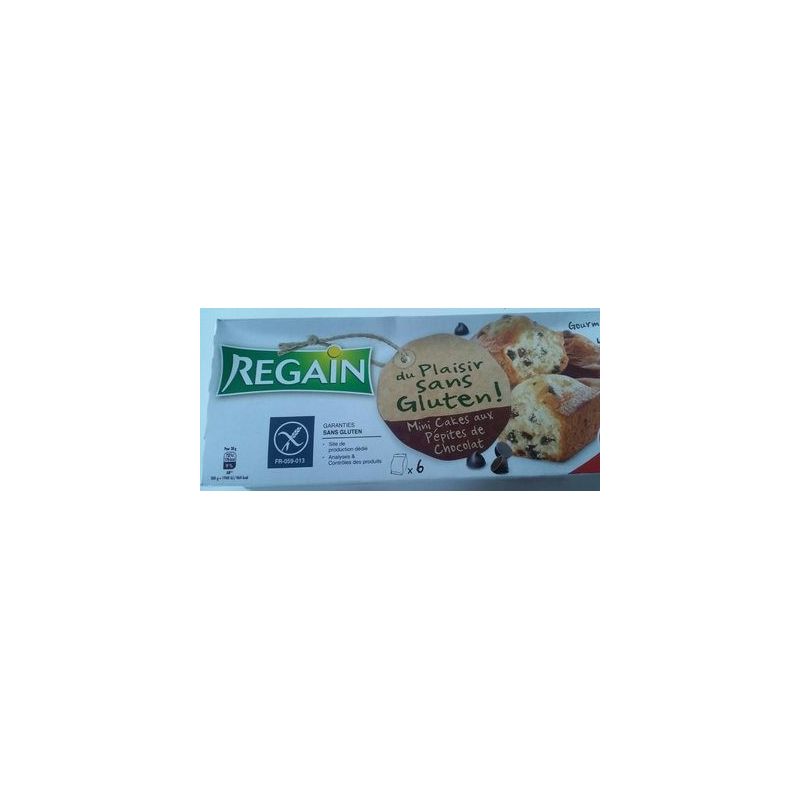 Regain Reg Cak Pepit Choc S Glut 230G