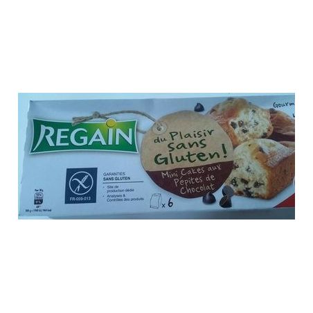 Regain Reg Cak Pepit Choc S Glut 230G