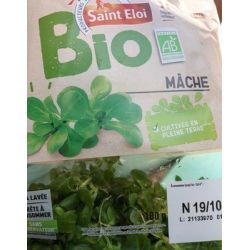 Saint Eloi Mache Bio 100G