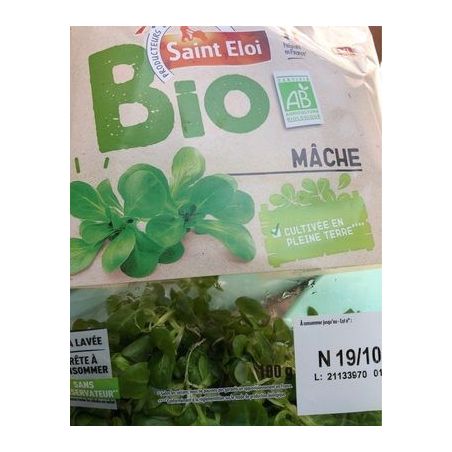 Saint Eloi Mache Bio 100G