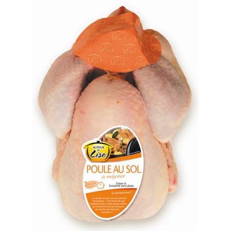 S.N.V Kg Poule Au Sol Pac S/Barq