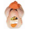 S.N.V Kg Poule Au Sol Pac S/Barq