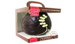 Le Tech Letech Oeuf Prg Nr Gd Cru135G