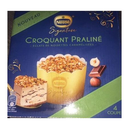 Nestle Pot Praline X4 310G