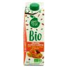 Plein Fruit Ju Orang Carot Mang Bio 1L