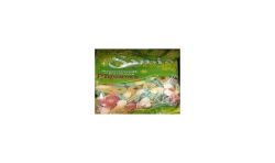 Samia 500G Assortiment Bonbon Piquant Halal