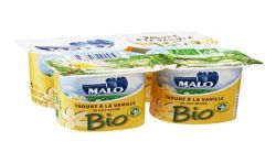 Malo Y.Biolog.Sav.Vanx4 Stmalo