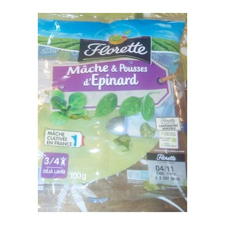 Florette Duo Mach/Jeun Pouss Epinar100G