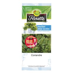 Coriandre - Florette