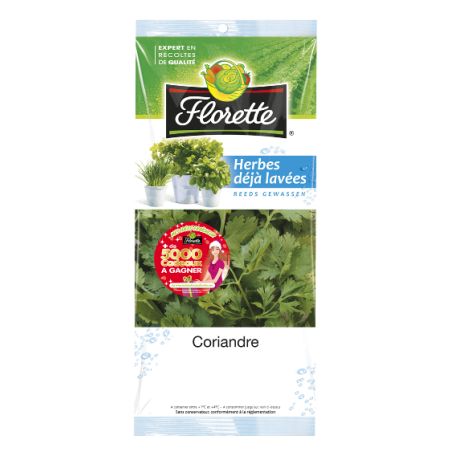 Florette Coriandre 11 G