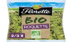 Florette 100G Roquette Bio