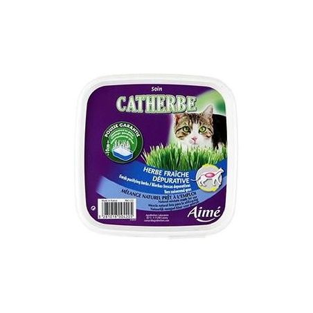 Aime Catherbe A Chat Anifa