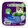 Aime Catherbe A Chat Anifa