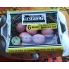 Terres De Breizh Tbreizh 6Oeuf P.Air M/Gros390G