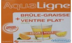 Vitarmonyl Aql Brule Graiss Ventre Plat V