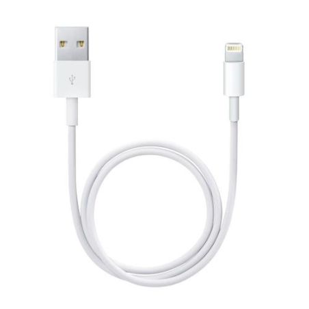 Apple Cable Lightning Vers Usb 0.5 M Blanc