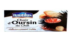 Nautilus Chair D Oursin 75G