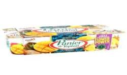 Yoplait Panier Fruits Exotiques 8X125G