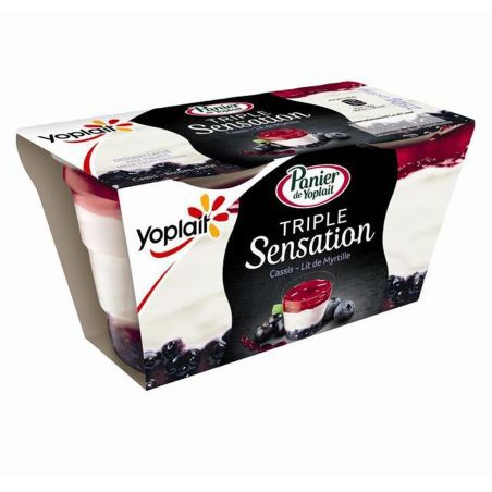 Yoplait Yopl.Panier Ts Cass-Myr.2X125G