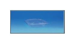 Guillin Emballages 600 Barquettes Micro Onde 250G