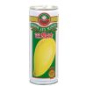 Bt25Cl Boisson Mangue Psp