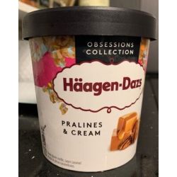 Haagen-Dazs Hd Pot Pralin&Cream 400G