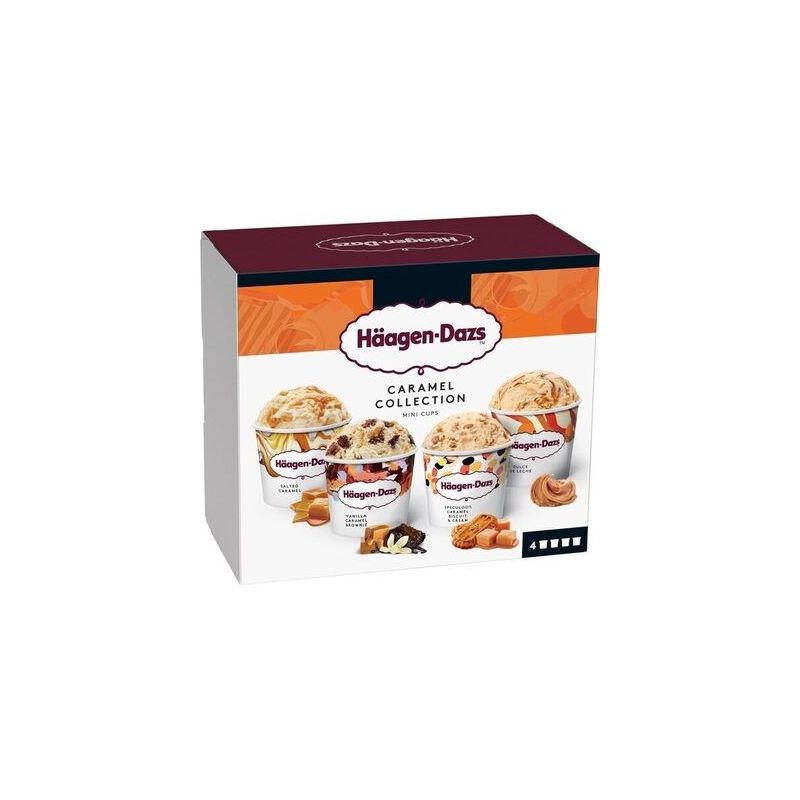 Haagen-Dazs Hg Mini Obss Col Caram365G