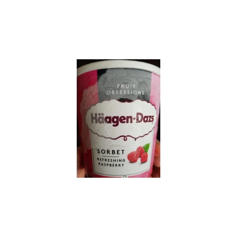 Haagen-Dazs Hg Pot Frui Obs Sorb Rasp408G