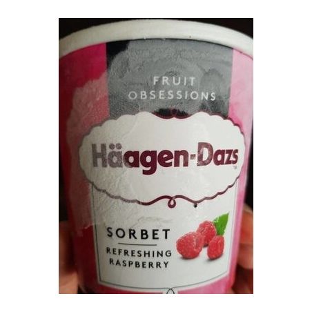 Haagen-Dazs Hg Pot Frui Obs Sorb Rasp408G