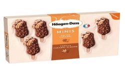 Haagendazs Hd Mini Bat Cara/Van X5 185G