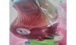 Cheval.Arg Leschev Ecur Nr Sch 120G