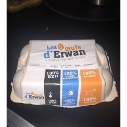 Oeuf Erwan X6 Sol Cal Gros410G