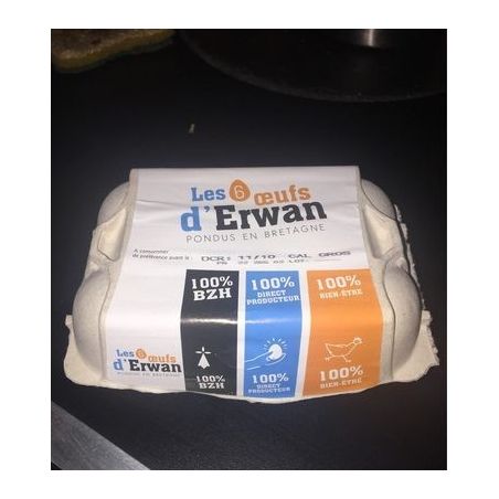 Oeuf Erwan X6 Sol Cal Gros410G