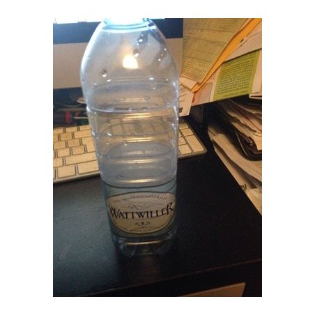 Wattwiller Eau Minerale 50Cl