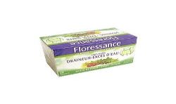 Floressance Boite 20 Sachets Infusion Draineur 30G