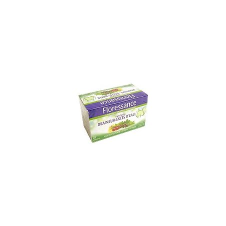 Floressance Boite 20 Sachets Infusion Draineur 30G