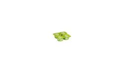 1Er Prix 4X125G Yaourt Bifidus Nature