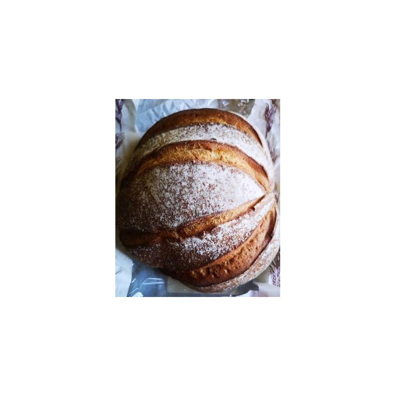 Panavi 420G Boule Froment