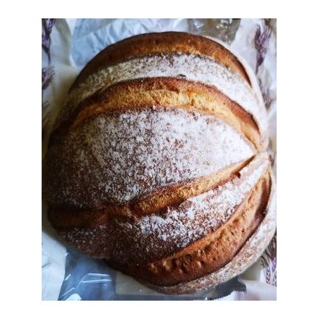 Panavi 420G Boule Froment