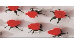 Fischer Bargoin 25 Roses Rouge A Piquer