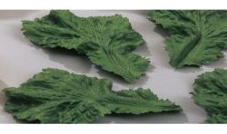 Fischer Bargoin 12 Feuille Laitue En Plastique