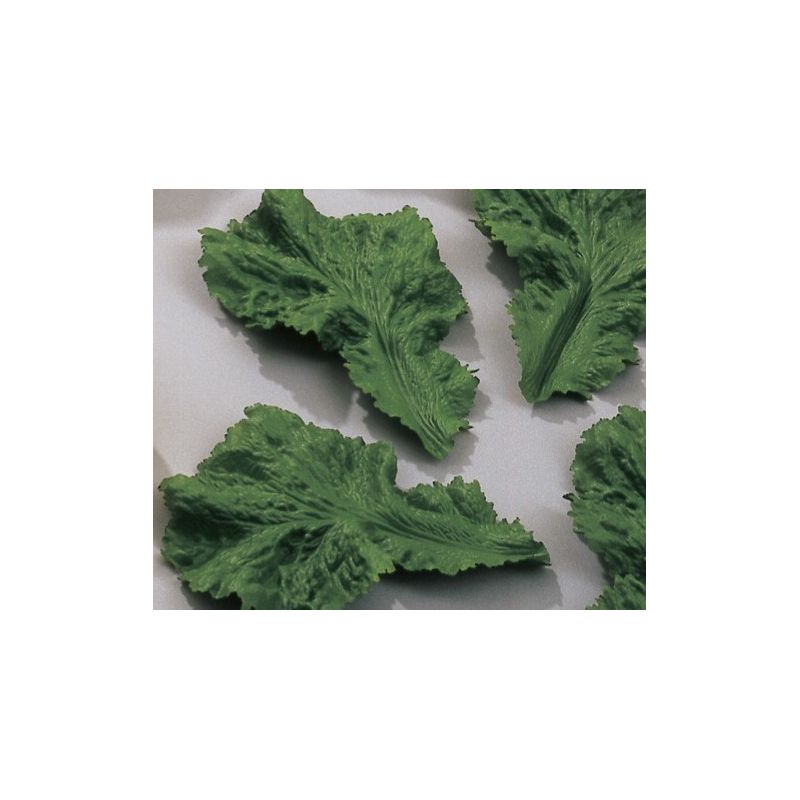 Fischer Bargoin 12 Feuille Laitue En Plastique