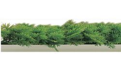 Fischer Bargoin 5 Bandes Persil 25Cm