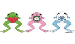 Asmodee Grenouille Live Pets