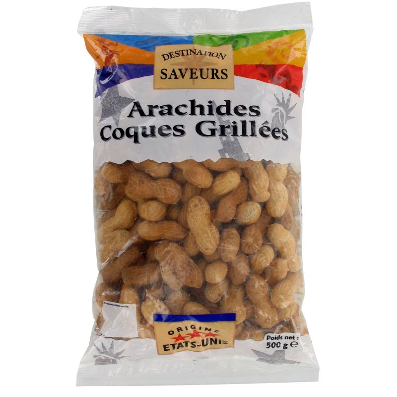 Destination Saveurs 500G Arachides Coques