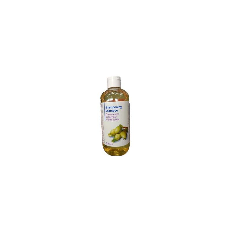 1Er Prix 500Ml Shampoing Cheveux Secs