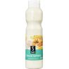 Saxo 930G Sauce Tartare