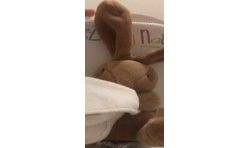 1Er Prix Mini Doudou Mouchirs Lapin