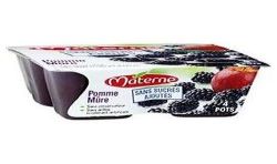 Materne Pack 4X100G Dessert Pomme Mure Sans Sucre Ajoute