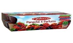 Materne 16X100G Panache 4 Fruits Rouges Classiques
